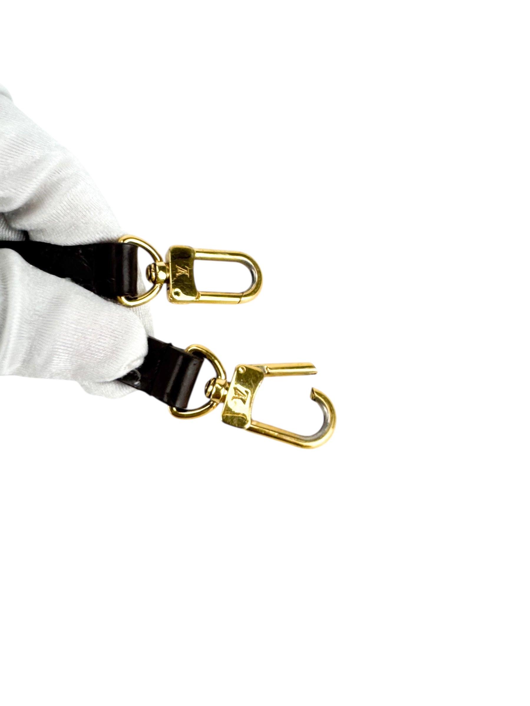 Louis Vuitton Damier Ebene Alma Bag BB